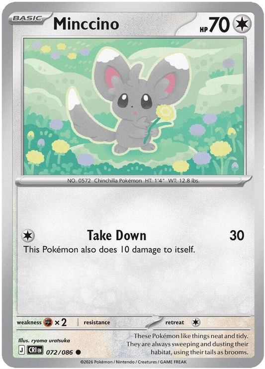 Minccino